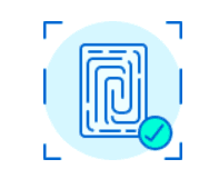 Website Development